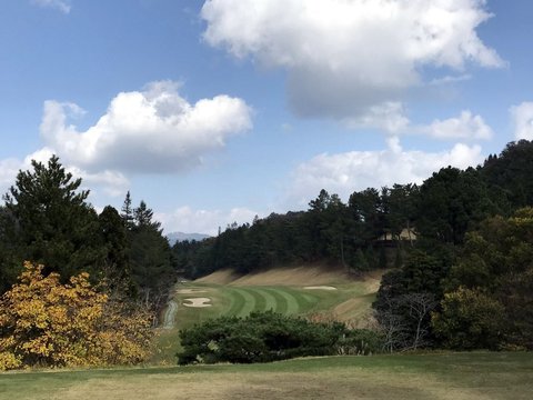 02-2017-11-09 12.02.39.jpg