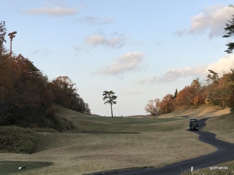 03-2018-11-29 16.10.44.jpg