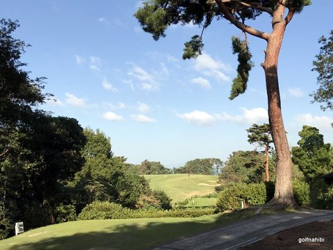 05-2018-10-25 08.45.37.jpg
