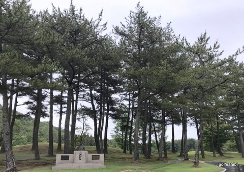 05-2019-06-27 08.52.46.jpg