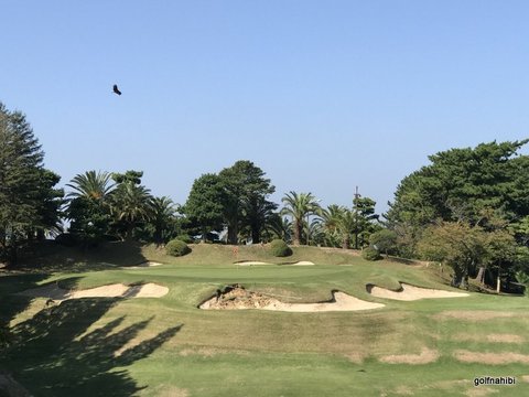 06-2017-10-26 10.58.51.jpg