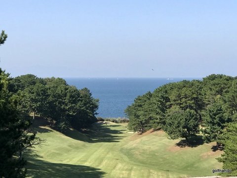 07-2017-10-26 12.26.48.jpg