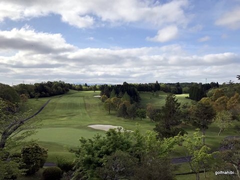 1-2018-04-26 07.52.11.jpg