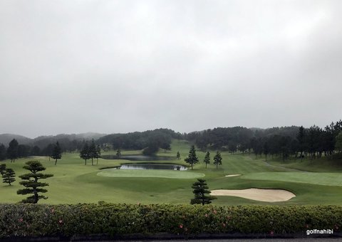 1-2018-05-31 07.32.59.jpg