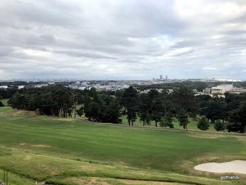 1-2018-08-09 07.13.08.jpg