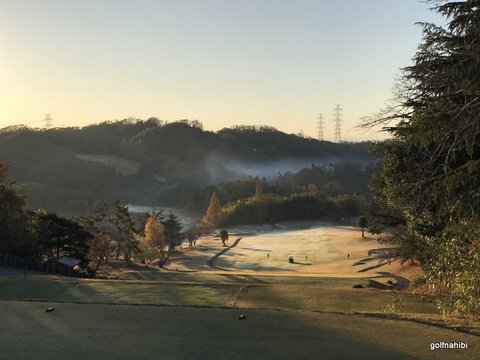 1-2018-11-25 07.16.22.jpg