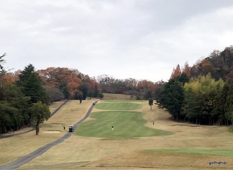 1-2018-12-06 10.14.08.jpg