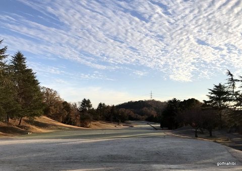 1-2018-12-16 07.41.16.jpg