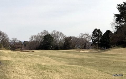 1-2020-03-26 13.53.49.jpg