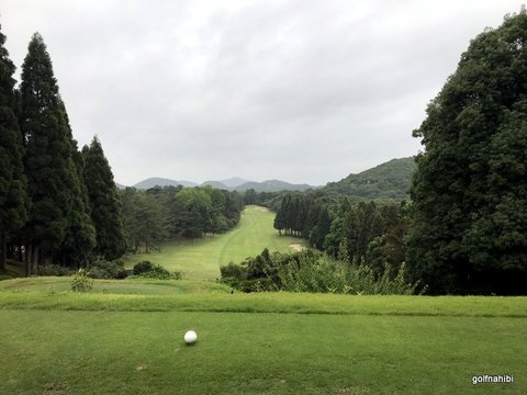 13-2019-06-27 10.35.02.jpg