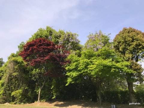 2-2018-04-22 09.41.17.jpg