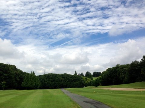 2015-07-010.jpg