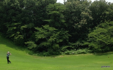 2015-07-02 12.58.03.jpg