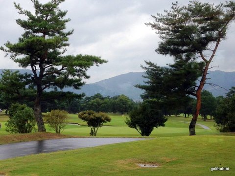 2015-09-24 11.16.22.jpg