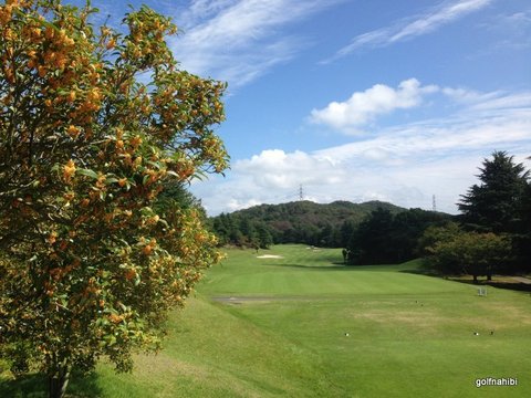 2015-09-27 11.54.12.jpg