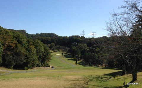 2015-10-25 12.41.09.jpg