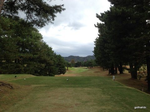 2015-11-26 12.06.04.jpg