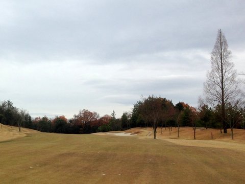 2015-12-10 10.41.13.jpg