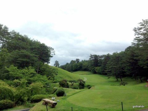 2016-06-23 10.40.14.jpg