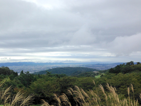 2016-09-29 10.07.14.jpg