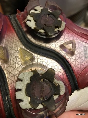 2017-02-02_01.jpg