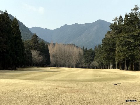 2017-03-30 09.42.55.jpg
