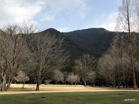 2017-03-30 10.24.18.jpg