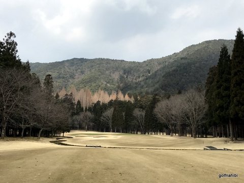 2017-03-30 11.03.07.jpg