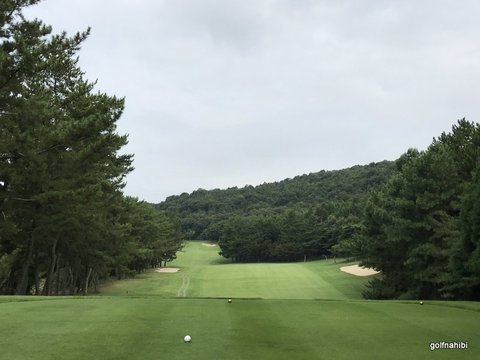 2017-08-17 08.15.10.jpg
