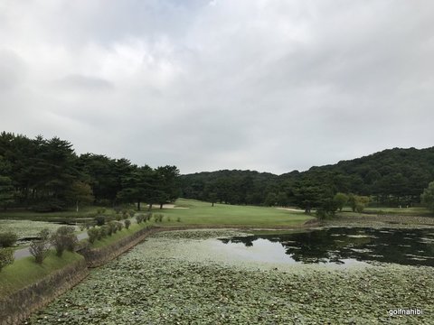 2017-08-17 09.33.54.jpg