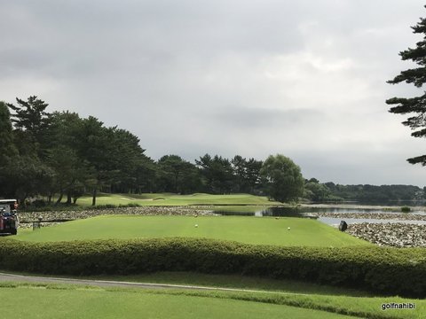 2017-08-17 09.48.25.jpg