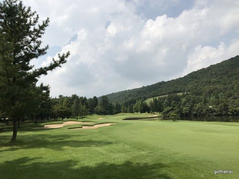2017-08-17 13.14.07.jpg