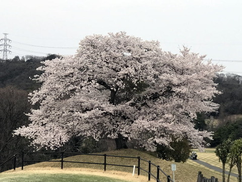 2018-04-01 17.57.26.jpg