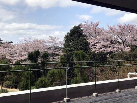 2018-04-05 09.54.45.jpg