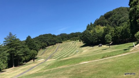 2018-07-22.jpg