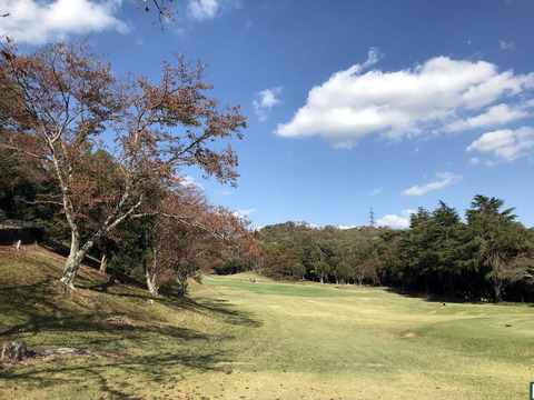 2018-10-28.jpg