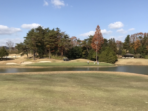 2018-11-29 12.59.20.jpg