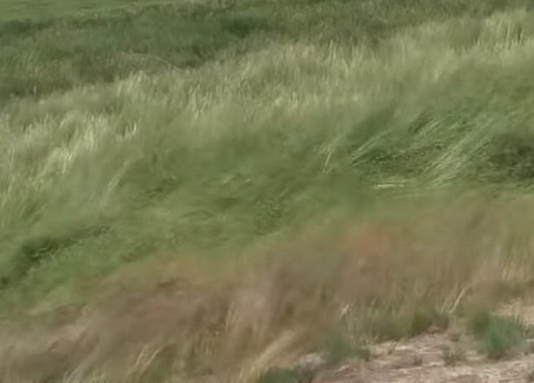 2018usopen01.jpg