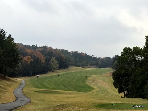 3-2017-11-30 11.53.50.jpg
