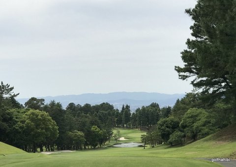3-2018-06-14 13.52.00.jpg