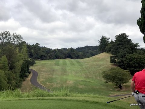 3-2018-08-09 11.34.04.jpg