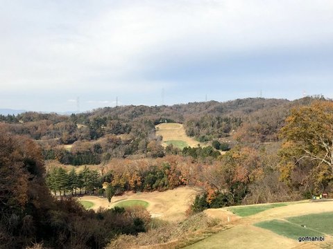 3-2018-12-16 12.47.31.jpg