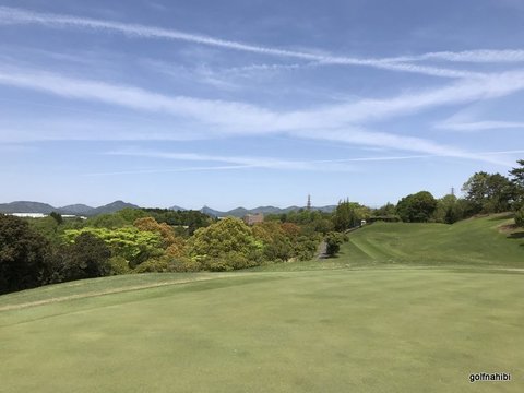 4-2018-04-26 11.13.50.jpg