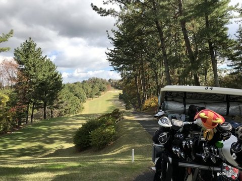 5-2018-11-15 12.13.48.jpg