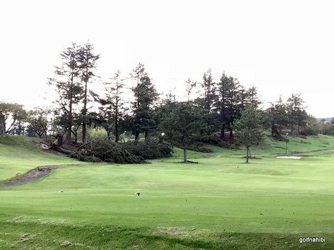 6-2018-09-16 17.48.20.jpg