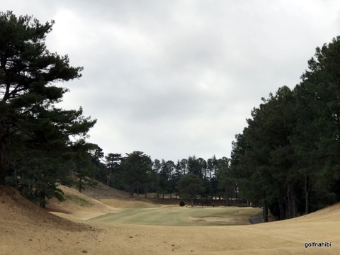 6-2019-03-28 09.48.52.jpg