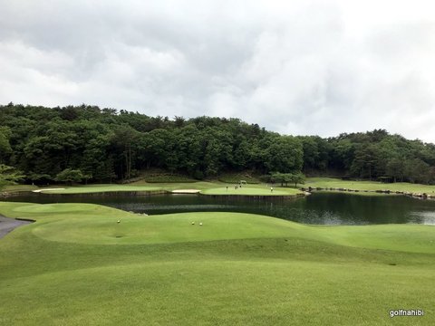 7-2018-05-31 11.48.22.jpg
