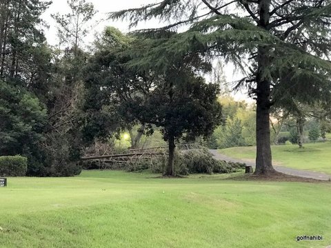 7-2018-09-16 17.48.53.jpg