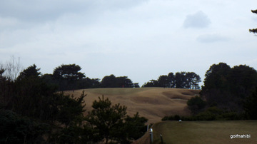 IMGP0076.JPG