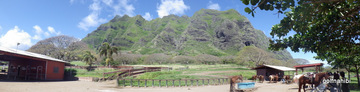 IMGP0514.jpg